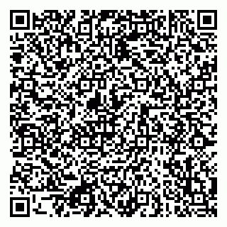 vCard 79080850370