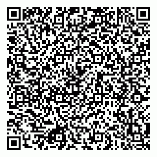 vCard 79080850381