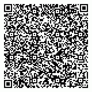 vCard 79080850384
