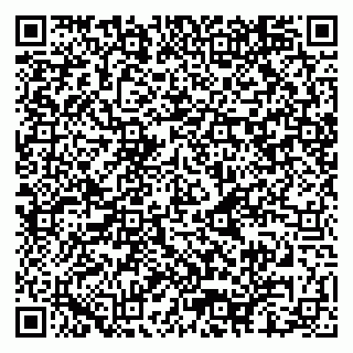 vCard 79080850385