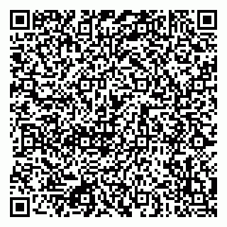 vCard 79080850387