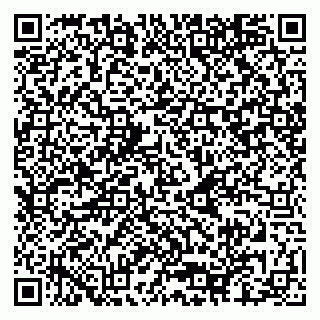 vCard 79080850389