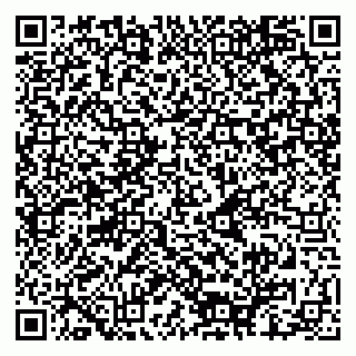 vCard 79080850394
