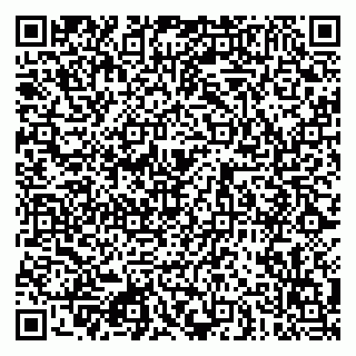 vCard 79080850403