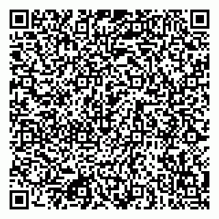 vCard 79080850413