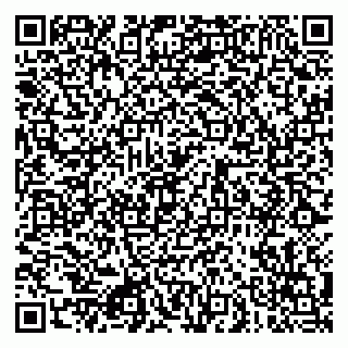 vCard 79080850417