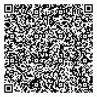 vCard 79080850541