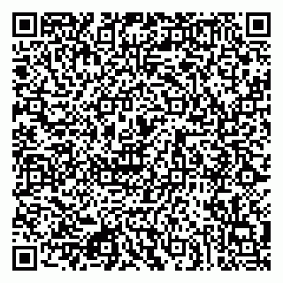 vCard 79080853813