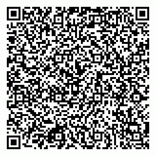 vCard 79080853817
