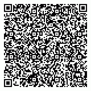 vCard 79080853833