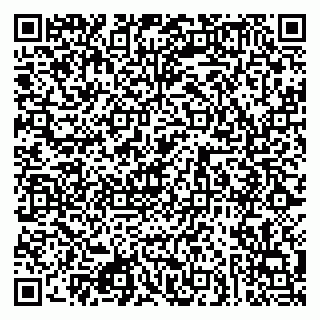 vCard 79080853837