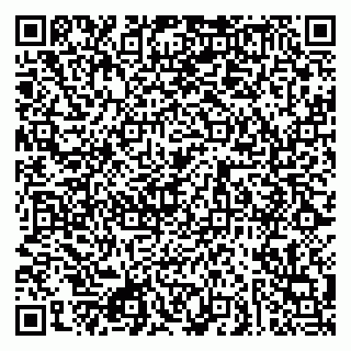 vCard 79080853838