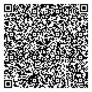 vCard 79080853873