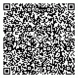 vCard 79080853878