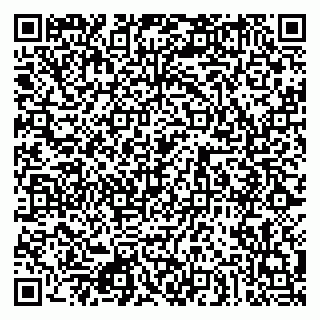 vCard 79080853903