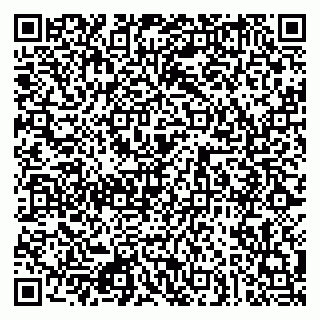 vCard 79080853929