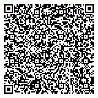 vCard 79080853931