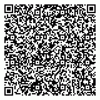 vCard 79080853933