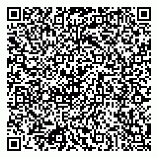vCard 79080853984