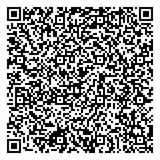 vCard 79080853987