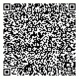 vCard 79080872211