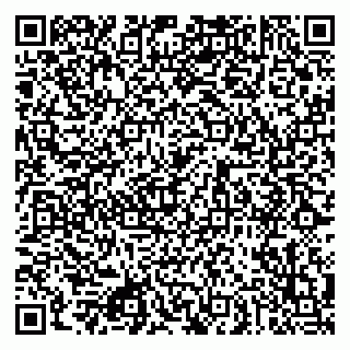 vCard 79080872300