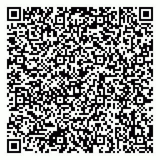 vCard 79080872331
