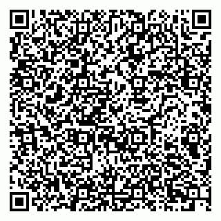 vCard 79080872381