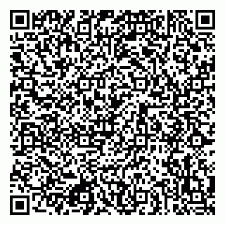 vCard 79080872393