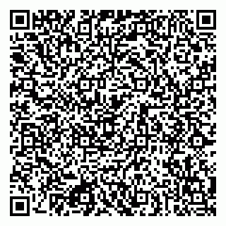 vCard 79080872403