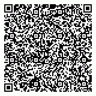 vCard 79080942981