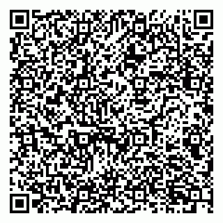 vCard 79080943033
