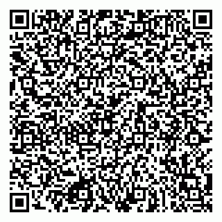 vCard 79080943041