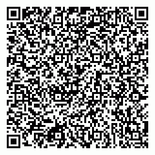 vCard 79080943133