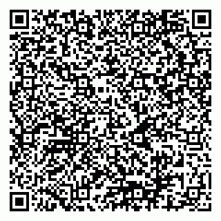 vCard 79080949331