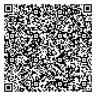 vCard 79080981003