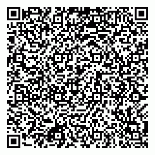 vCard 79080981005