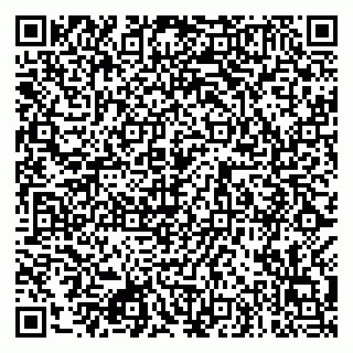 vCard 79080981013
