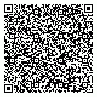 vCard 79080981031