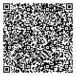 vCard 79080981035