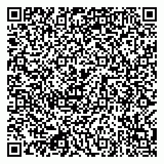 vCard 79080981037