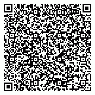vCard 79080981063