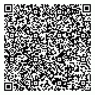 vCard 79080981067