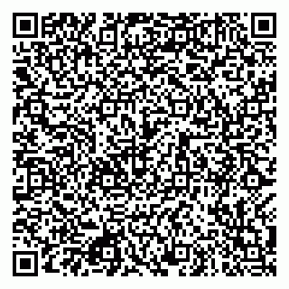 vCard 79080981100