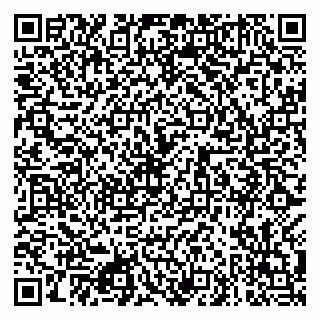 vCard 79080981137