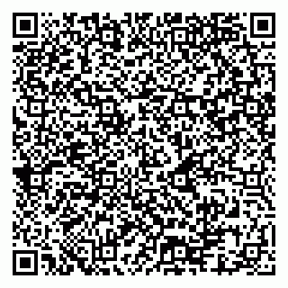 vCard 79080981173
