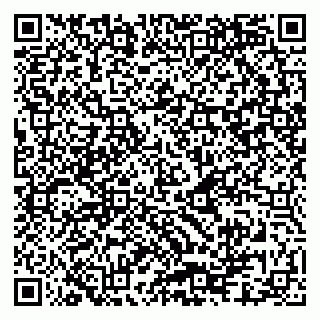 vCard 79080981211