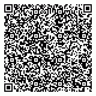 vCard 79080981235
