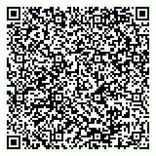 vCard 79080981236