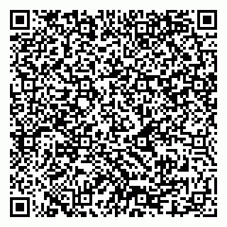 vCard 79080981248